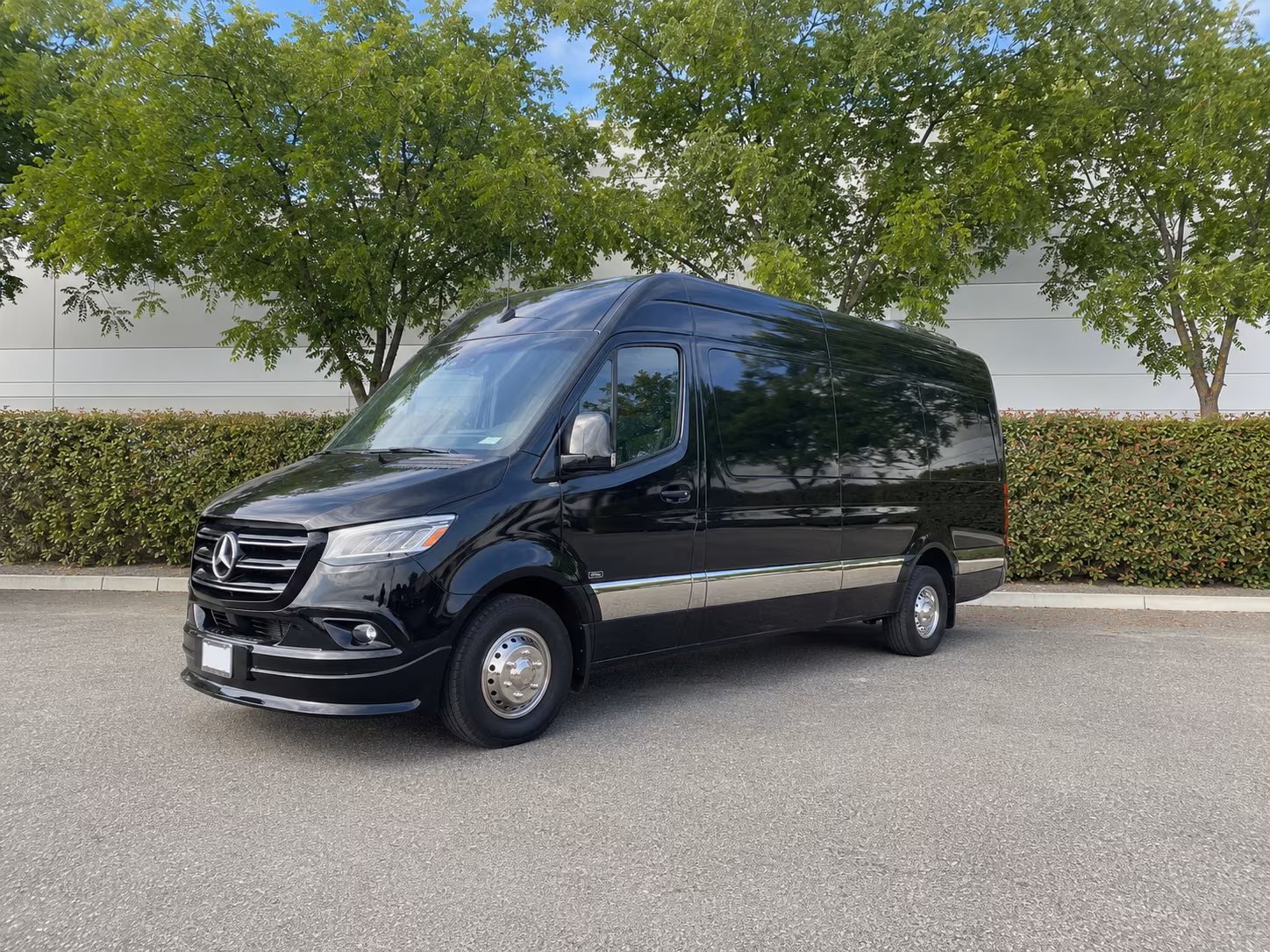 12 passenger sprinter van