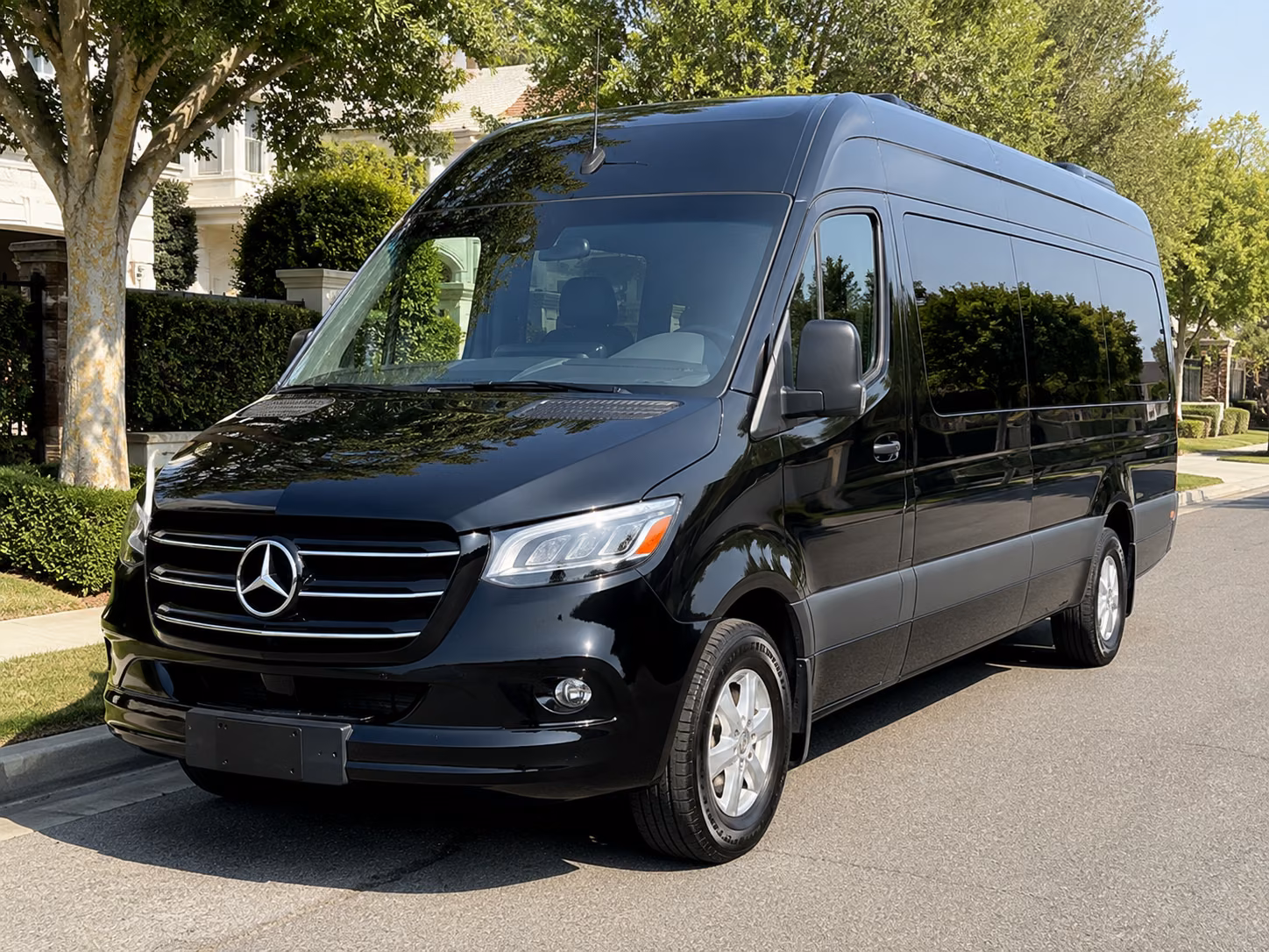 syracuse 18 passenger sprinter van